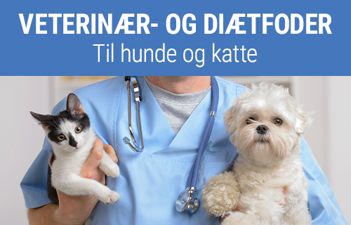 entusiastisk Lappe termometer Hundefoder, kattefoder & tilbehør til discountpriser | bitiba.dk