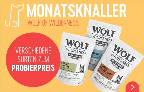 Probierknaller Wolf of Wilderness gefriergetrocknetes Rohfutter 250 g