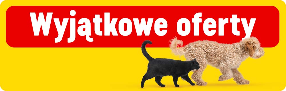 Wyjątkowe oferty 