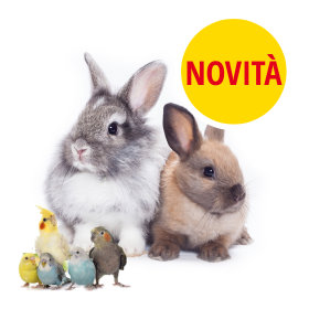 Novità altri animali!