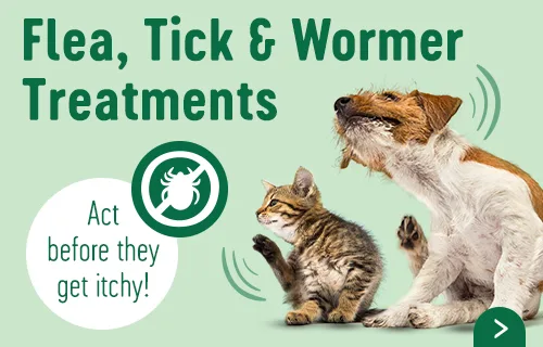 Discover Flea, Tick & Wormer Treatment