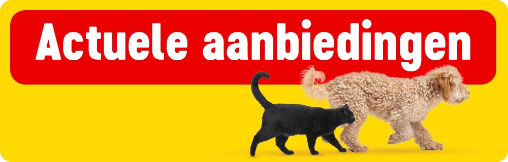Actuele Voordelen