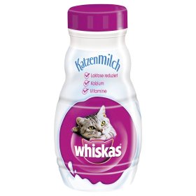 Katzenmilch