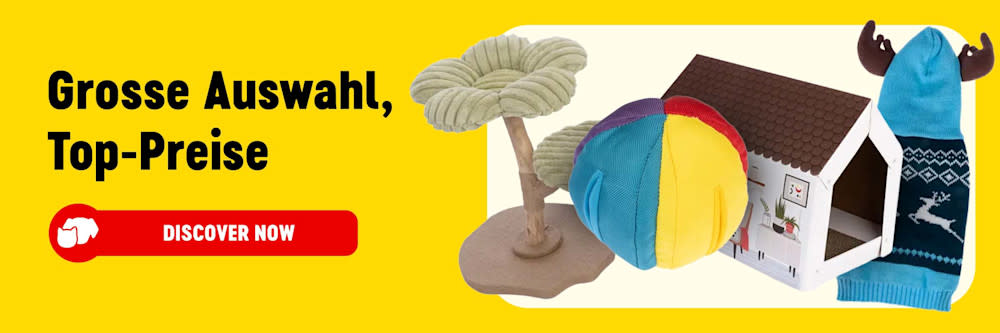 2026_01_OBA__Evergreen_CH