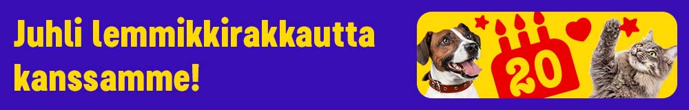  Juhli lemmikkirakkautta kanssamme!