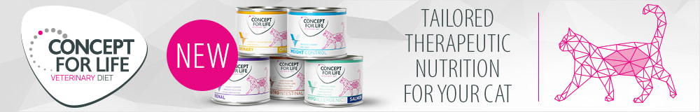 Discover tailored therapeutic nutrition for your cat