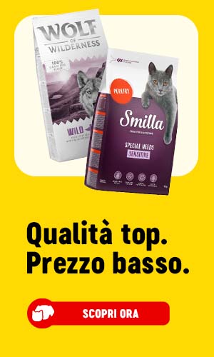 Scopri le nostre marche!
