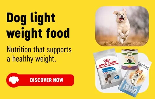 Big Discounts on Dog Food, Cat Food, Pet Accessories and more at bitiba!