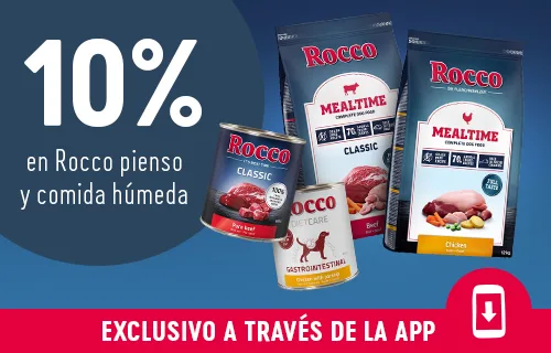 10 % app exclusive rocco