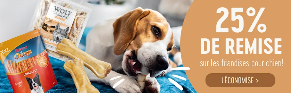 Obtenez 25% de réduction sur toutes les friandises pour chien sur bitiba !