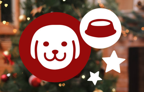 Weihnachtliches Futter für Hunde zu festlich-günstigen Preisen