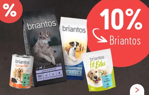 Obtenez 10% de remise sur toute la marque d'aliments pour chien Briantos !