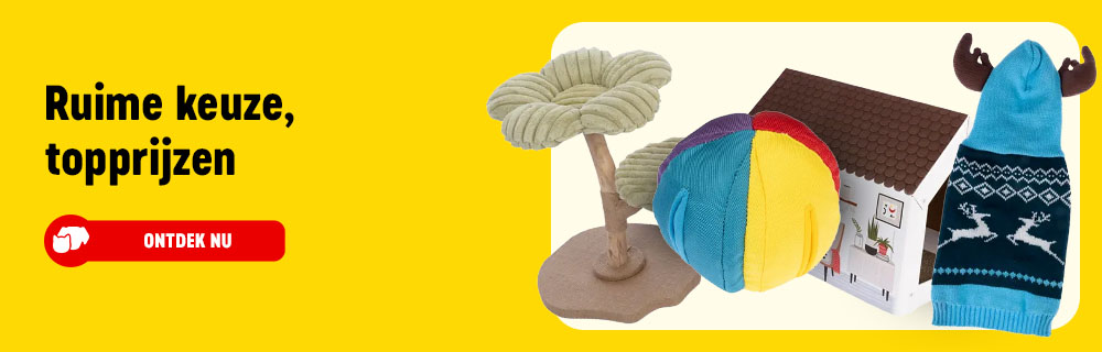 2026_01_OBA__Evergreen_NL