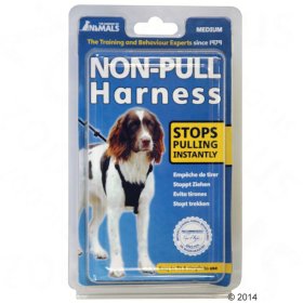 Non pull harnesses