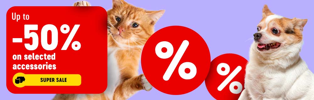 2025_08_Super_Sale_EN