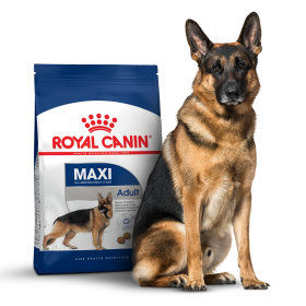Royal Canin pour chien adulte