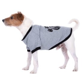 Hunde-Pullover