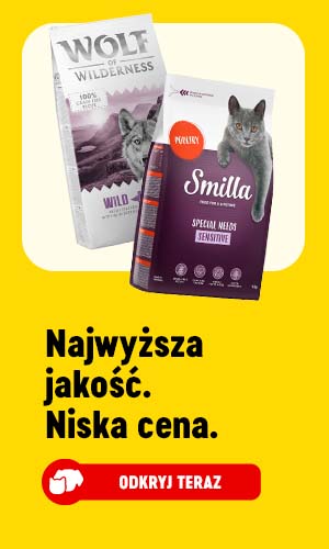 Najwyższa jakość. Niska cena. ODKRYJ TERAZ.
