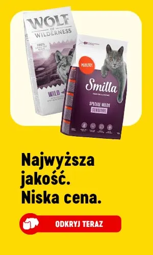 Najwyższa jakość. Niska cena. ODKRYJ TERAZ.