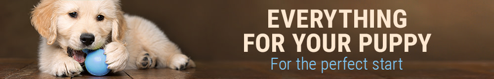 Everything for your puppy