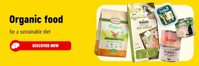 Big Discounts on Dog Food, Cat Food, Pet Accessories and more at bitiba!