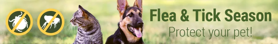 Flea & Tick Treatments