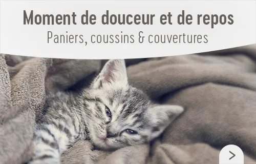 Offrez à votre chat des siestes bien au chaud grâce aux paniers, couvertures et tapis sur zooplus !