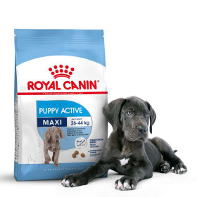 Royal Canin chien pour Chiot 