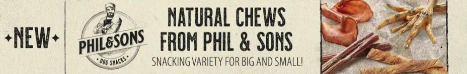 Discover Phil and Sons 