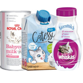 Katzenmilch für Kitten zu TOP-Preisen!
