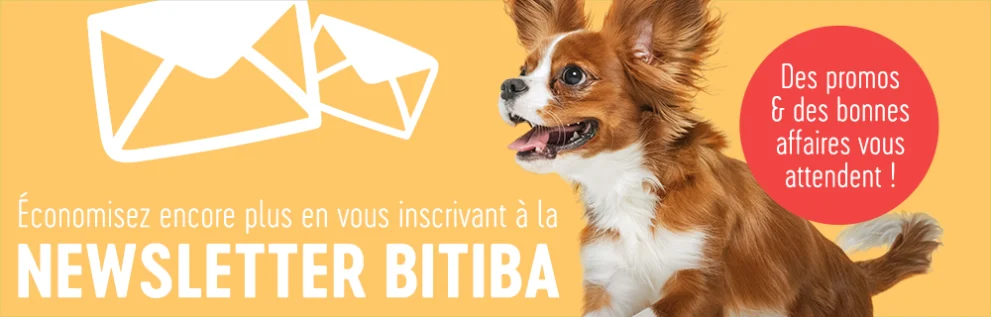 Inscription à la newsletter bitiba