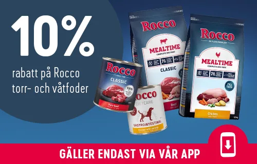 10% Rabatt Rocco