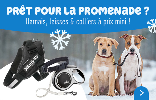 bitiba.be l animalerie 100 discount Alimentation pour animaux