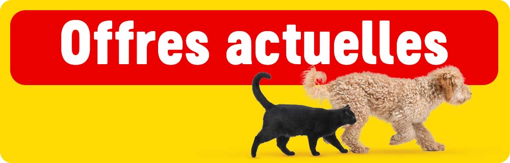 Offres actuelles