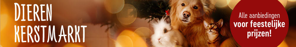🎄 Kerstmarkt voor honden en katten