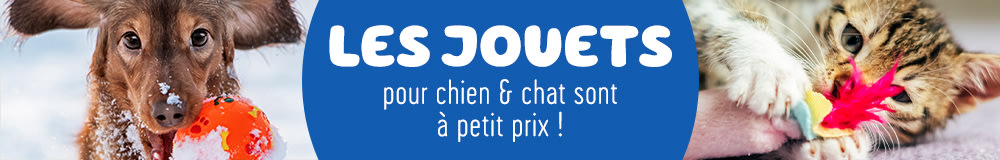 Jouets pour chien et chat à petit prix