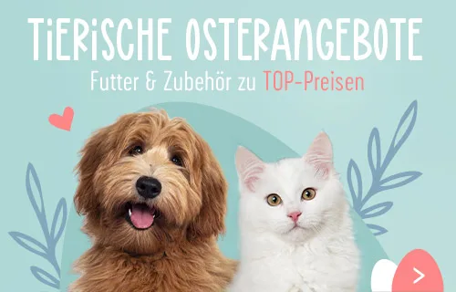 Tierische Osterangebote für Hunde und Katzen zu TOP-Preisen