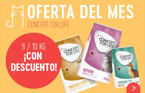 Concept for Life oferta del mes