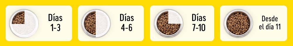Cambia de forma progresiva la alimentación