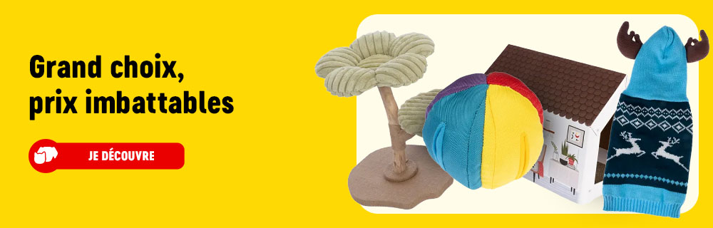 2026_01_OBA__Evergreen_be