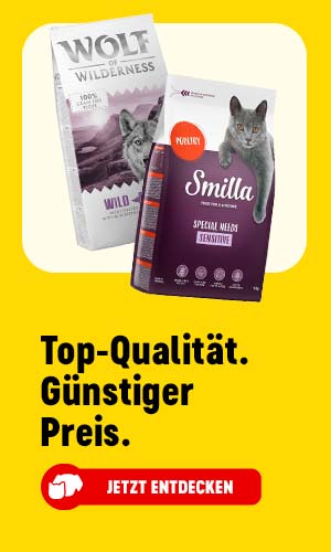 Jetzt entdecken: Top-Qualität. Günstiger Preis.