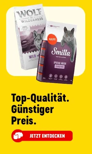 Jetzt entdecken: Top-Qualität. Günstiger Preis.