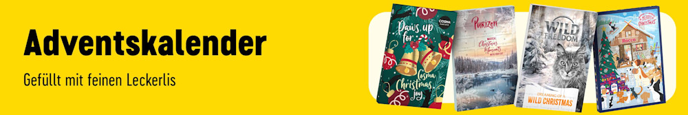Jetzt entdecken: Adventskalender gefüllt mit feinen Leckerlis.