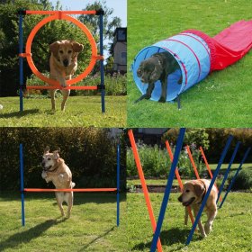 Accessoires d'agility pour chien