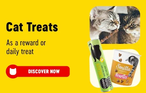 Big Discounts on Dog Food, Cat Food, Pet Accessories and more at bitiba!