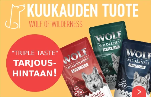 Wolf of Wilderness kuukauden tuote