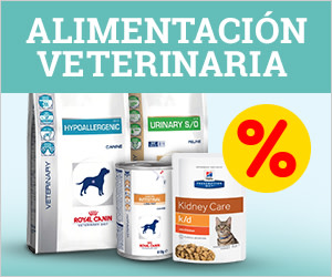Veterinary Food