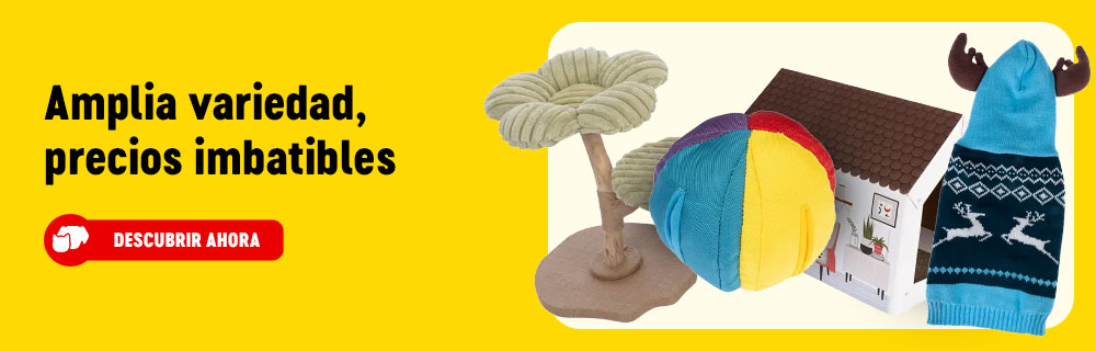 2026_01_OBA__Evergreen_ES