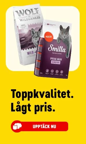 Toppkvalitet. Låst pris. Upptäck nu.