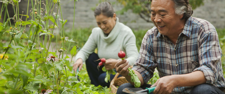 Mentally Preparing Yourself for Retirement